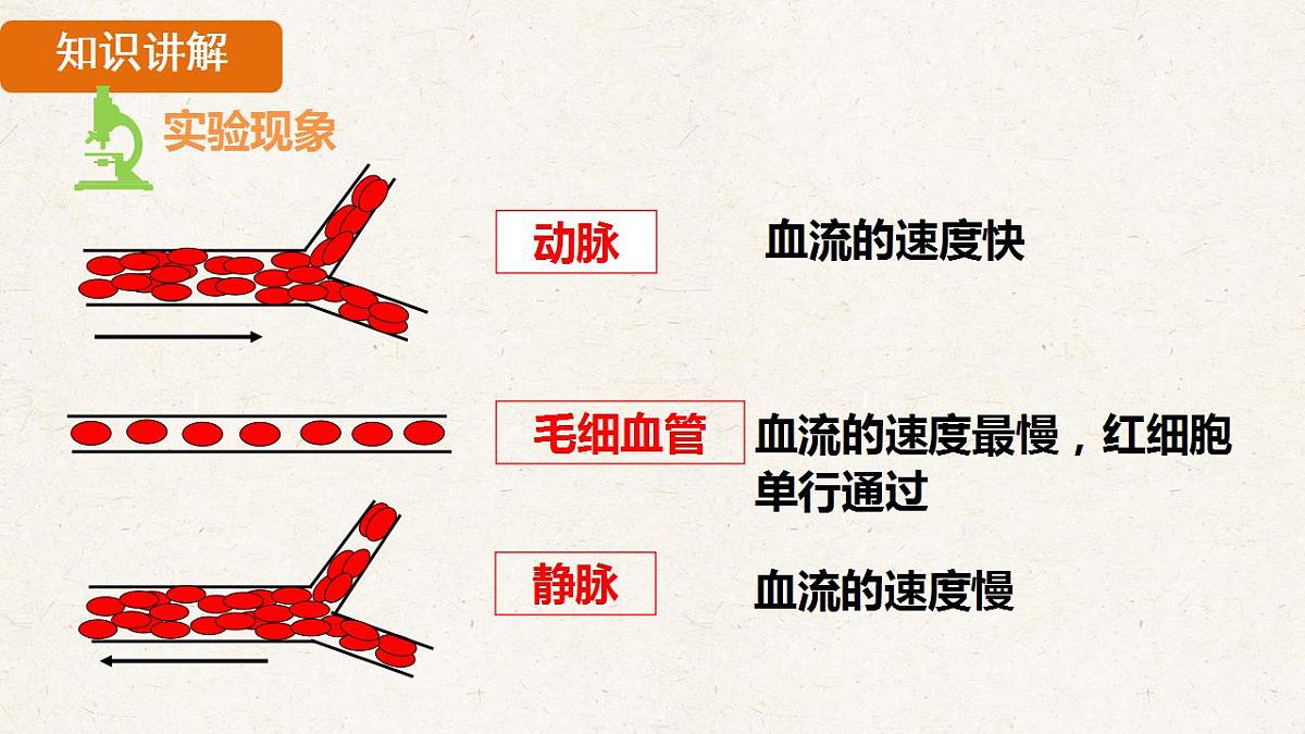 17839846第6页