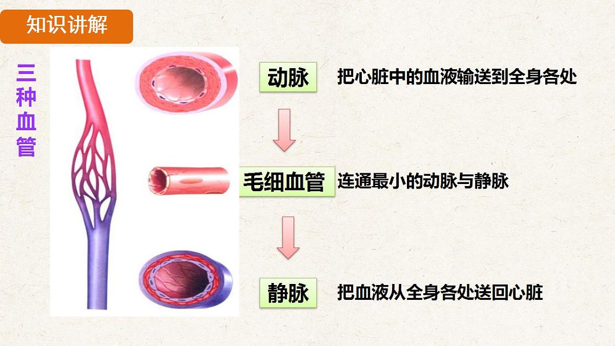 17839846第8页