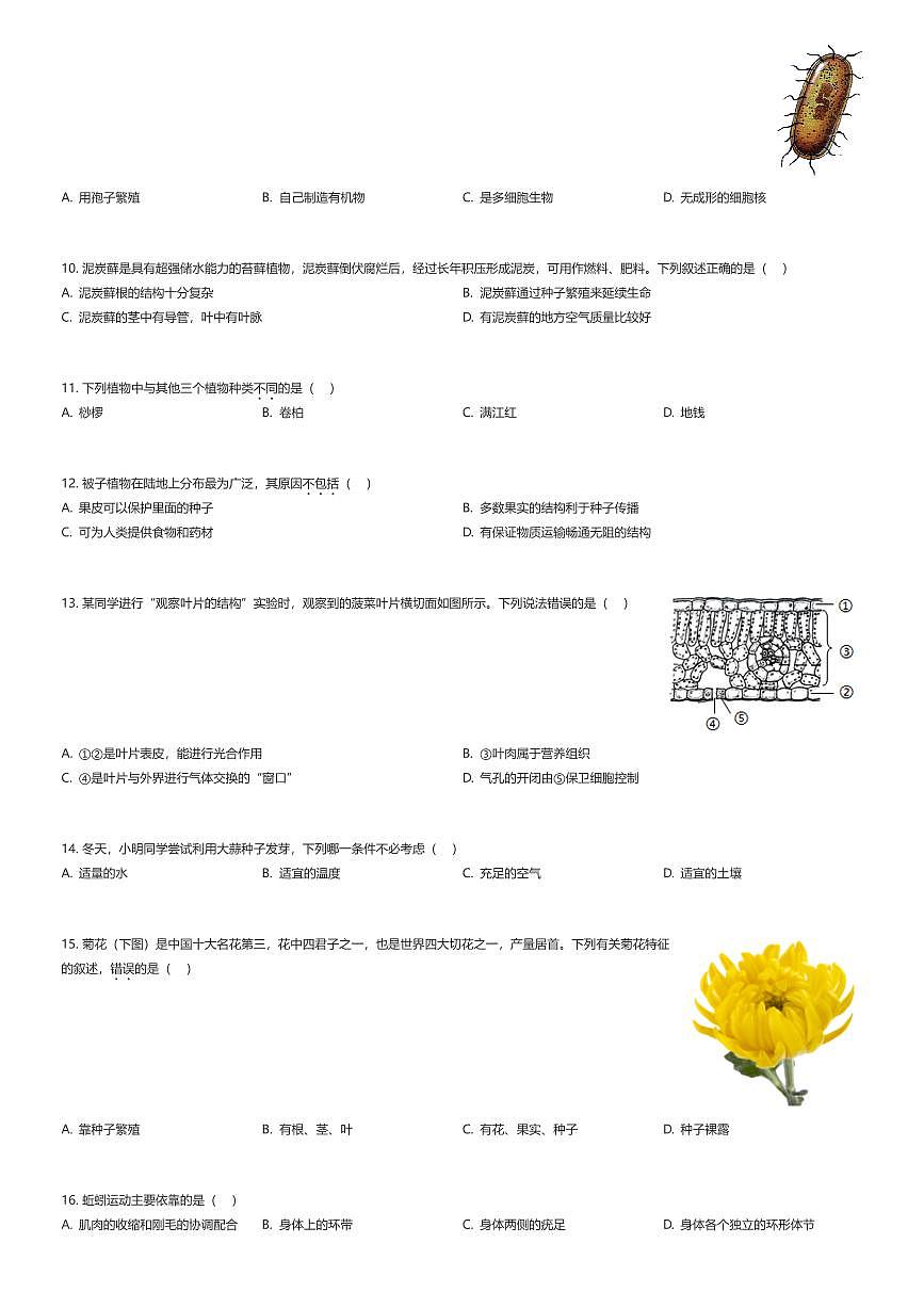 2025~2026学年北京海淀区初一上学期期末联考练习生物试卷（有答案解析）第2页