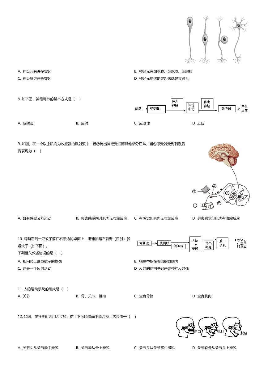 2025~2026学年北京通州区北京理工大学附属中学初二上学期期中生物试卷（有答案解析）第2页