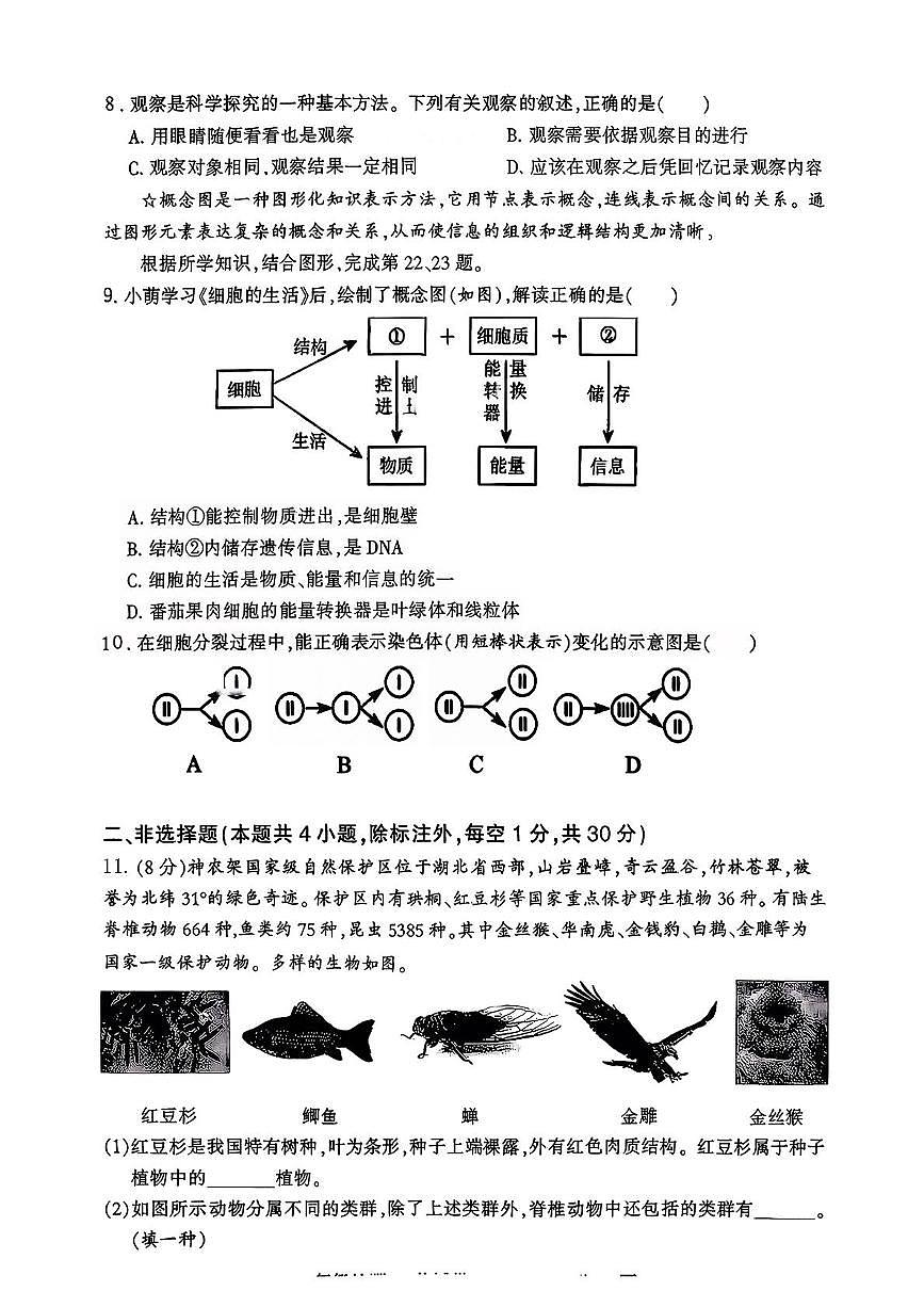 湖北省武汉市洪山区四校2025-2026学年七年级上学期1月月考生物试题第2页