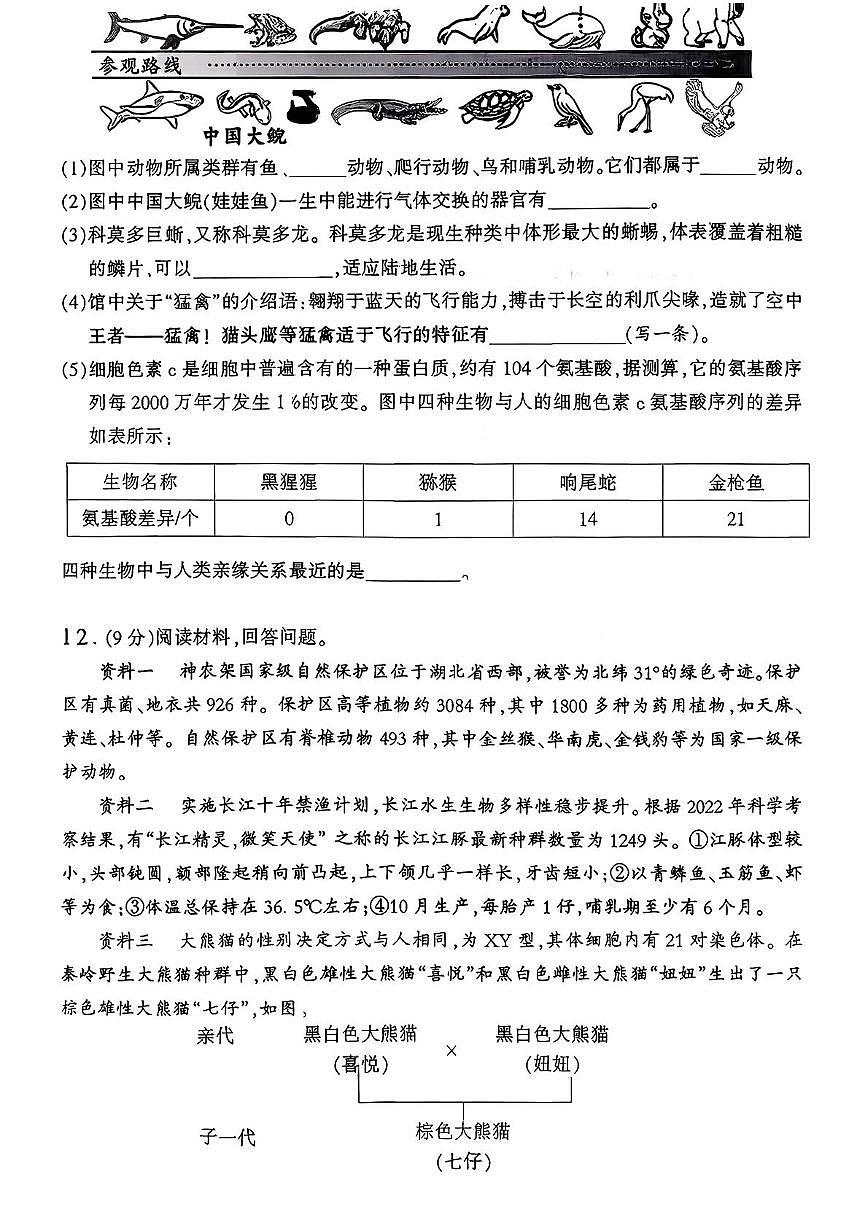 湖北省武汉市洪山区四校2025-2026学年八年级上学期1月月考生物试题第3页