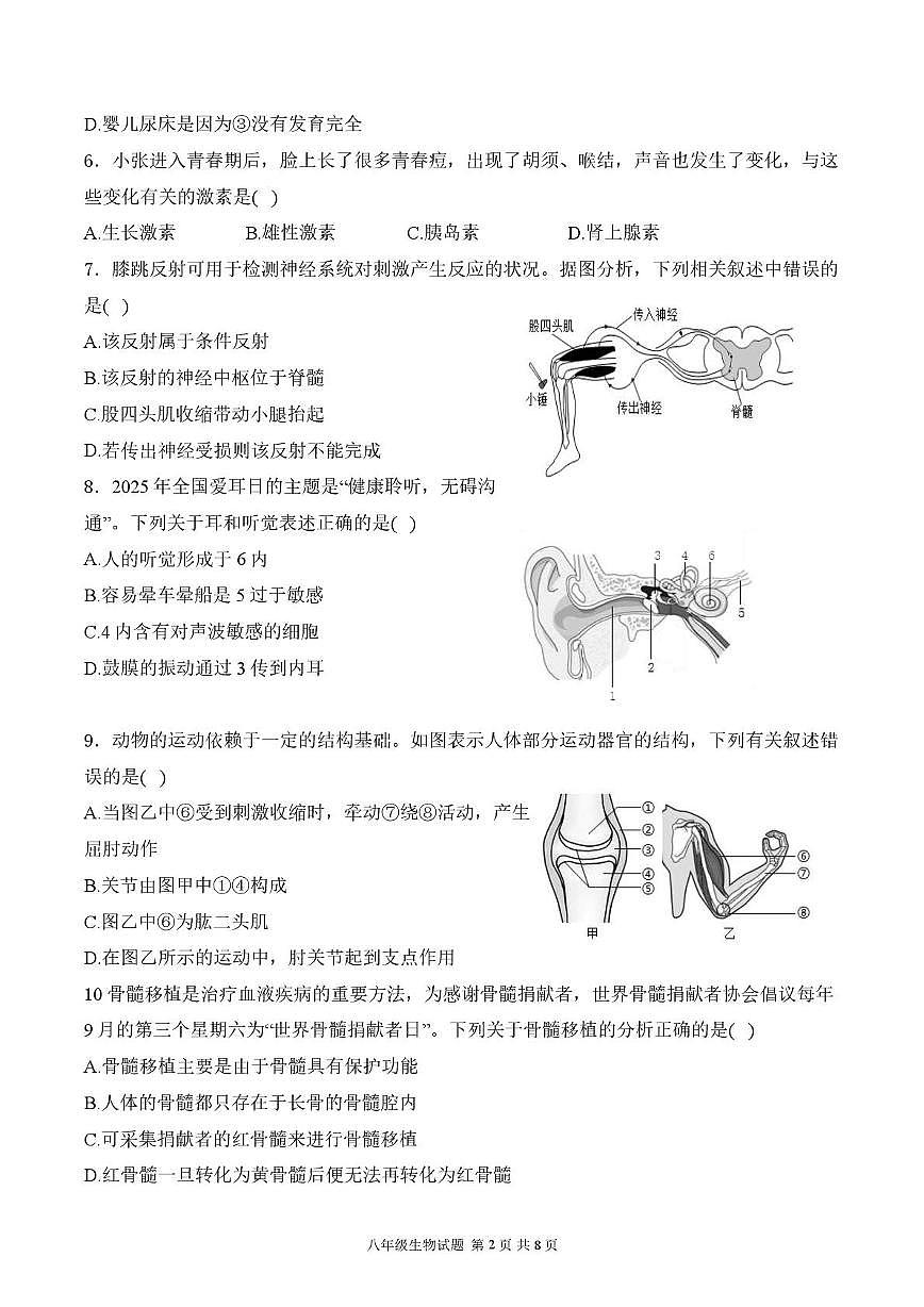 陕西省渭南市华阴市2025-2026学年八年级上学期1月期末生物试题第2页
