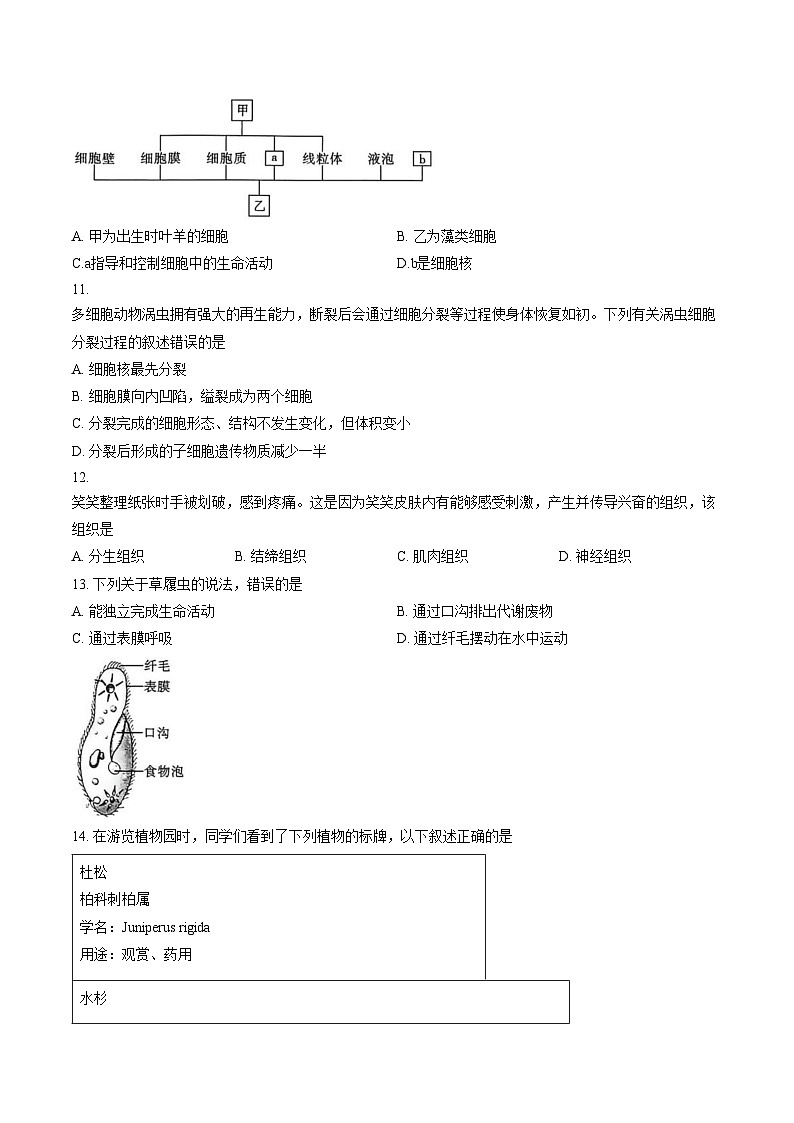 陕西省渭南市临渭区2025_2026学年七年级上学期期末教学质量调研生物题(文字版含答案)第3页