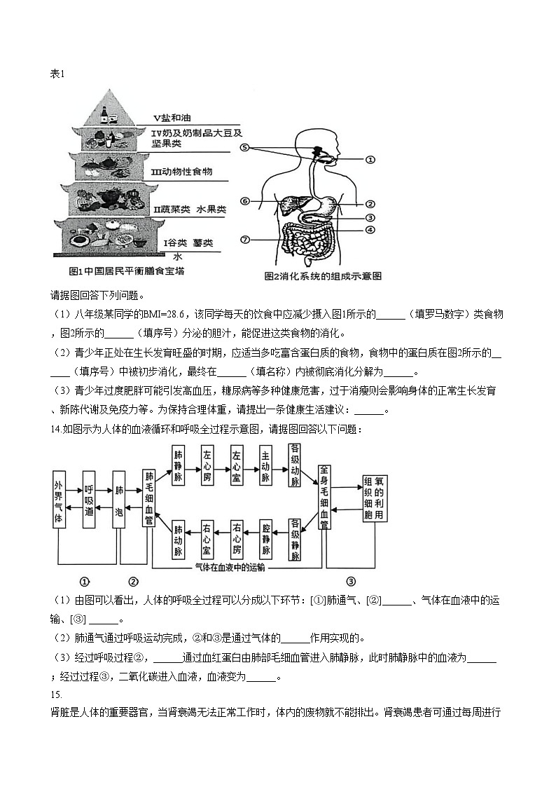 辽宁省沈阳市苏家屯区2025_2026学年八年级上学期期末生物试卷（文字版，含答案）第3页