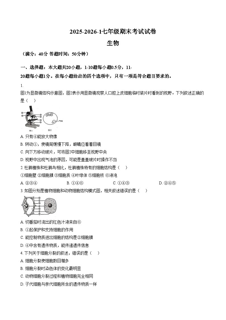 甘肃省兰州市城关区多校2025_2026学年七年级上学期期末生物试卷（文字版，含答案）第1页