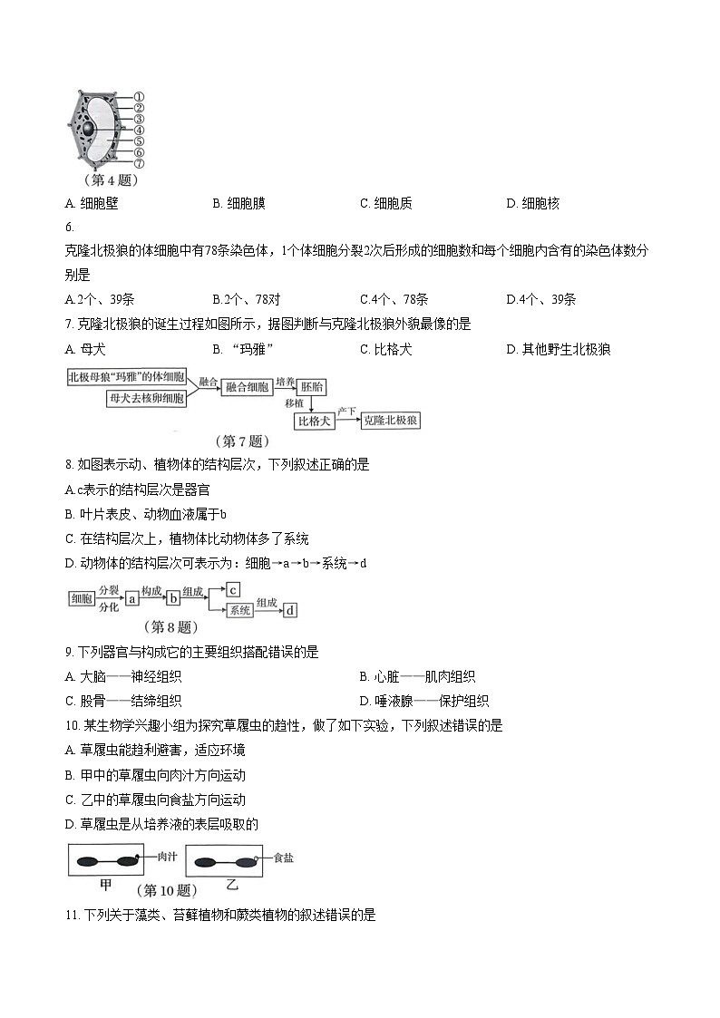 吉林省松原市宁江区第一中学2025_2026学年七年级上学期1月期末生物试题（文字版，含答案）第2页
