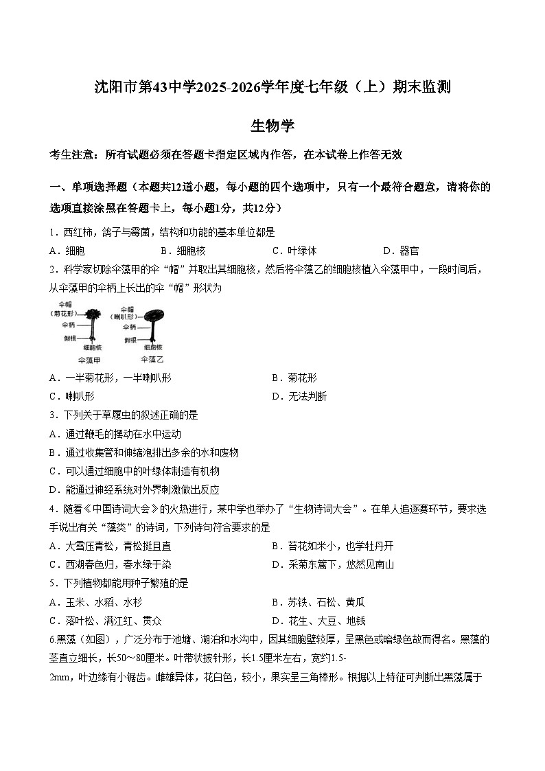 辽宁省沈阳市第四十三中学2025_2026学年七年级上学期生物期末试题（文字版，含答案））第1页