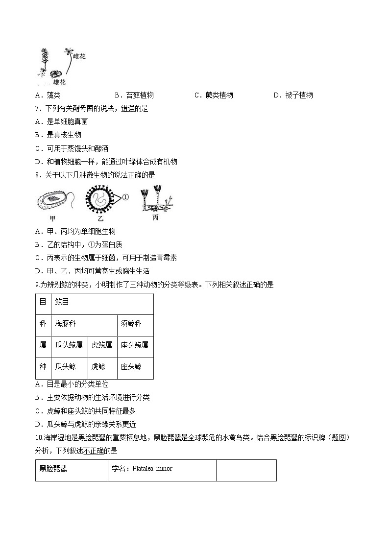 辽宁省沈阳市第四十三中学2025_2026学年七年级上学期生物期末试题（文字版，含答案））第2页