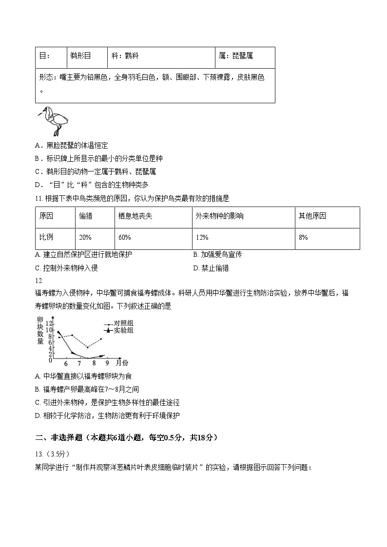 辽宁省沈阳市第四十三中学2025_2026学年七年级上学期生物期末试题（文字版，含答案））第3页