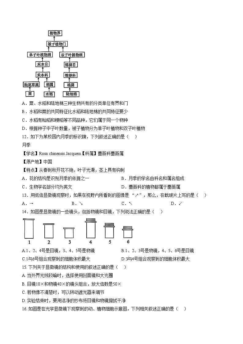 苏州工业园区星湖学校2025_2026学年七年级上学期期末测试生物卷（文字版，含答案））第3页