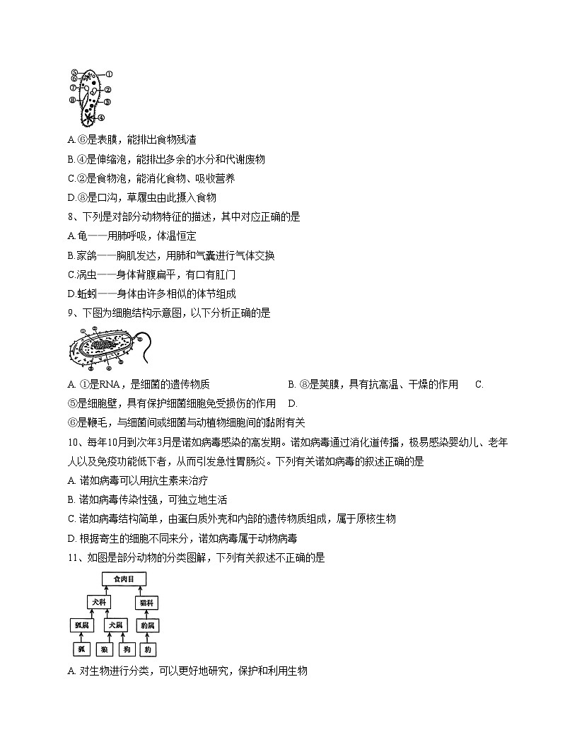 辽宁省阜新市实验中学2025_2026学年七年级上学期期末生物试卷（文字版，含答案）第2页