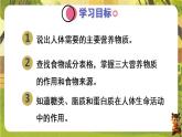 4.2.1.1糖类、脂质、蛋白质的作用--人教版（新教材）七年级生物下册培优备课课件