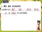 4.2.1.1糖类、脂质、蛋白质的作用--人教版（新教材）七年级生物下册培优备课课件