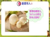 4.2.2.1食物的消化--人教版（新教材）七年级生物下册培优备课课件