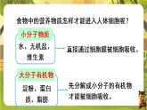 4.2.2.1食物的消化--人教版（新教材）七年级生物下册培优备课课件