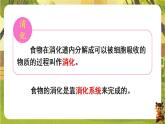 4.2.2.1食物的消化--人教版（新教材）七年级生物下册培优备课课件