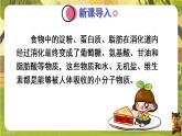 4.2.2.2营养物质的吸收--人教版（新教材）七年级生物下册培优备课课件