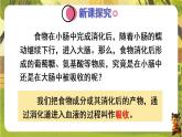 4.2.2.2营养物质的吸收--人教版（新教材）七年级生物下册培优备课课件