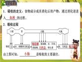 4.2.2.2营养物质的吸收--人教版（新教材）七年级生物下册培优备课课件