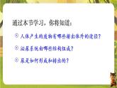 4.5.1泌尿系统的组成--人教版（新教材）七年级生物下册培优备课课件