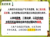4.5.1泌尿系统的组成--人教版（新教材）七年级生物下册培优备课课件