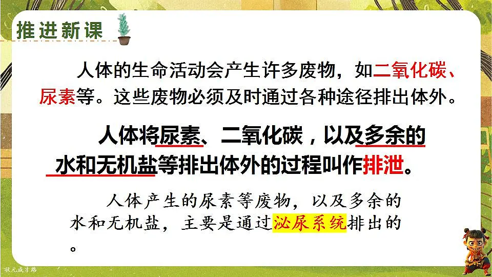17843033第5页