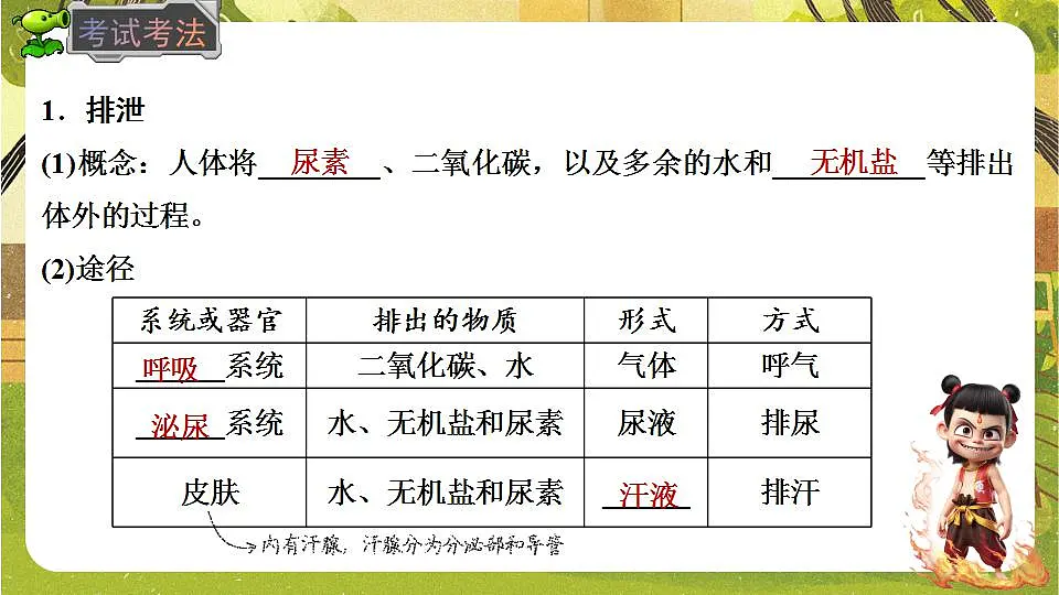 17843033第6页