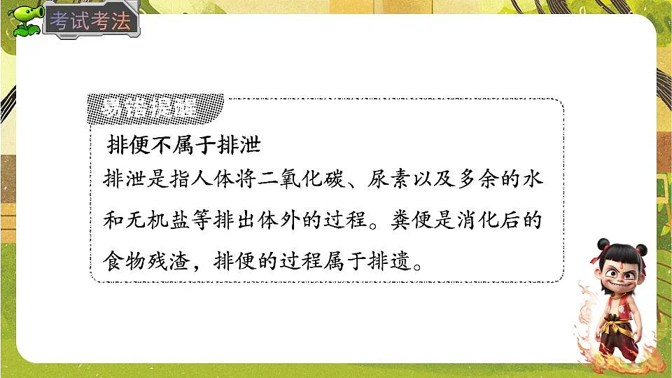 17843033第7页