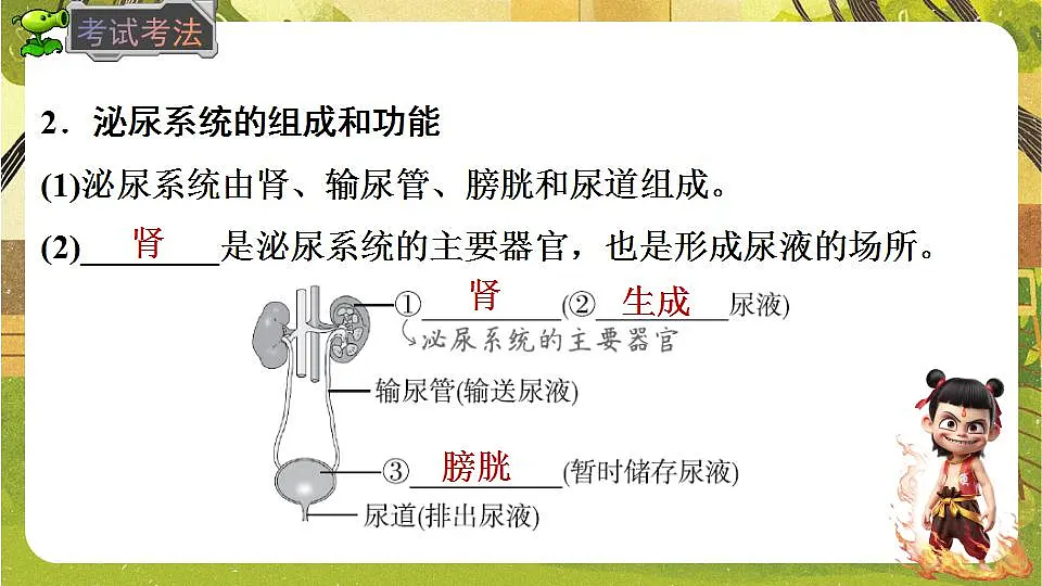 17843033第8页