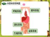 第四单元 人体生理与健康（一）【单元总复习】--人教版（新教材）七年级生物下册培优备课课件