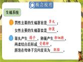 第四单元 人体生理与健康（一）【单元总复习】--人教版（新教材）七年级生物下册培优备课课件