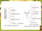 第四单元 人体生理与健康（一）【单元总复习】--人教版（新教材）七年级生物下册培优备课课件