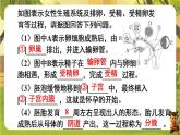 第四单元 人体生理与健康（一）【单元总复习】--人教版（新教材）七年级生物下册培优备课课件