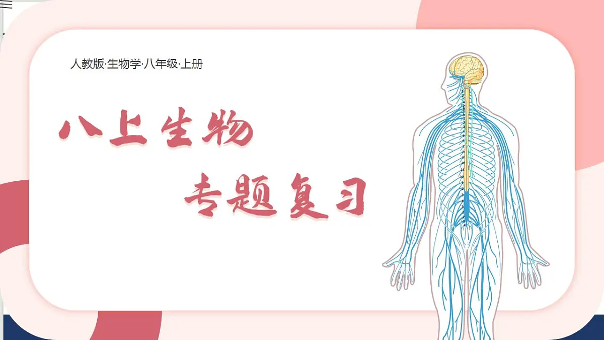 17843755第1页