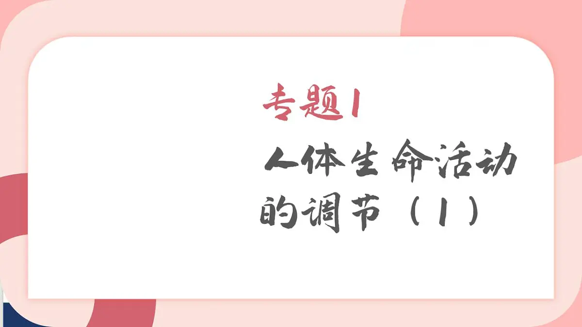 17843755第2页