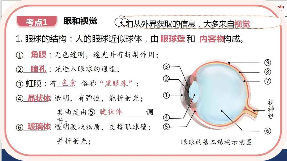 17843755第5页