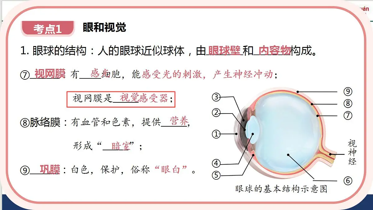 17843755第6页