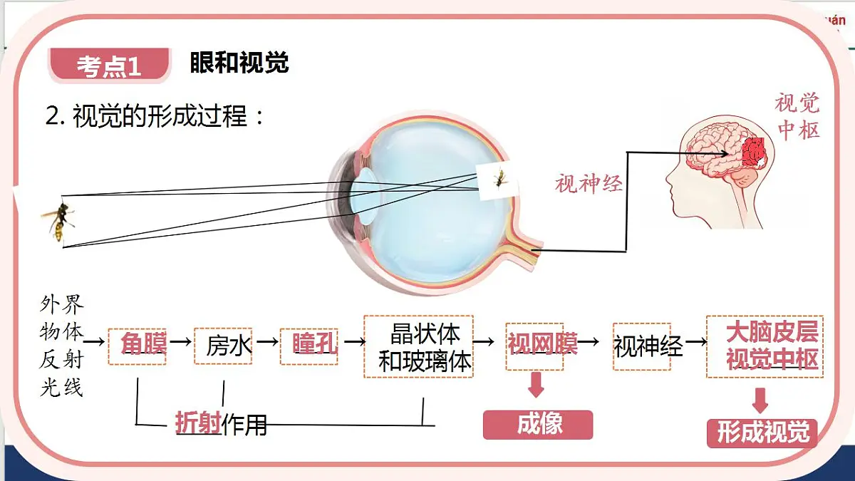 17843755第7页