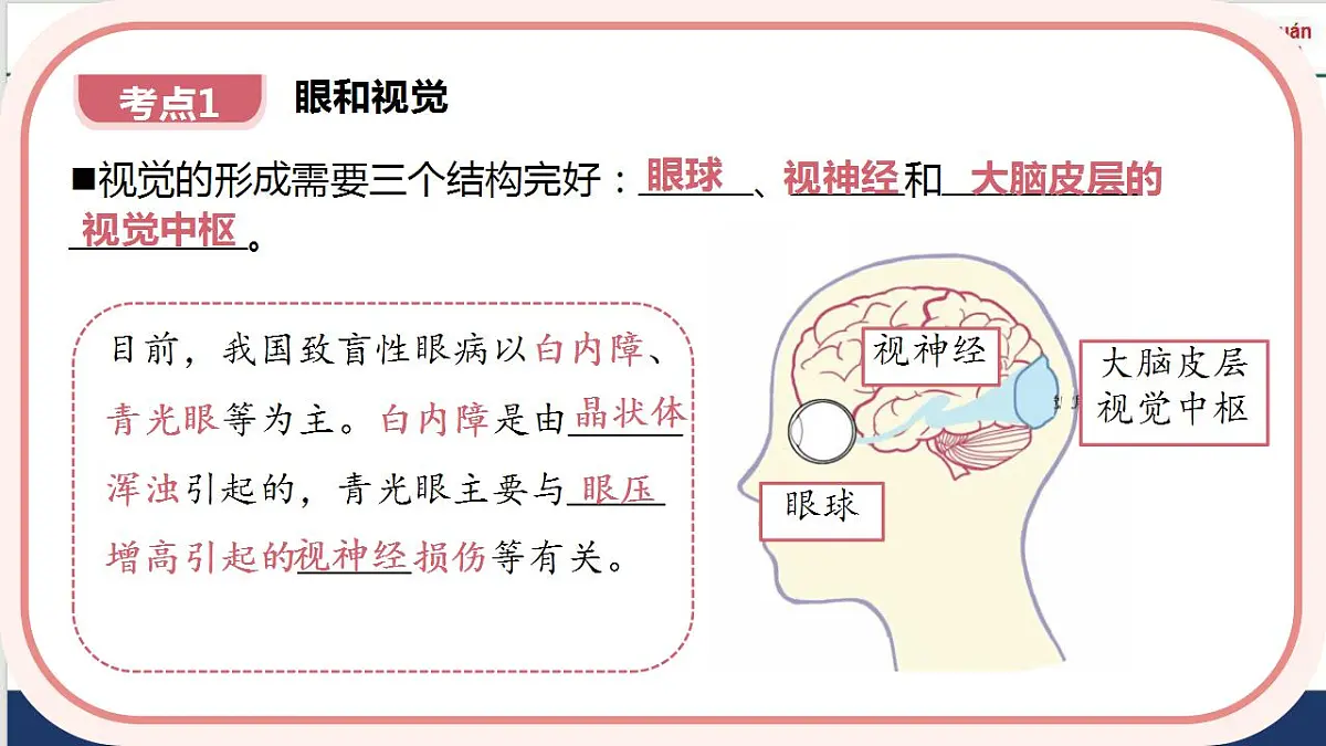 17843755第8页