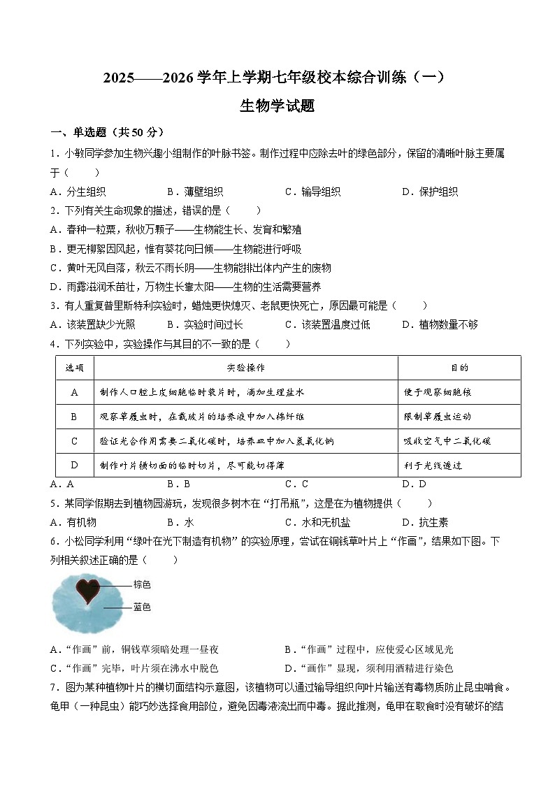 【试卷】福建省泉州市城东中学2025-2026学年七年级上学期期中校本综合训练生物学试题（一）第1页