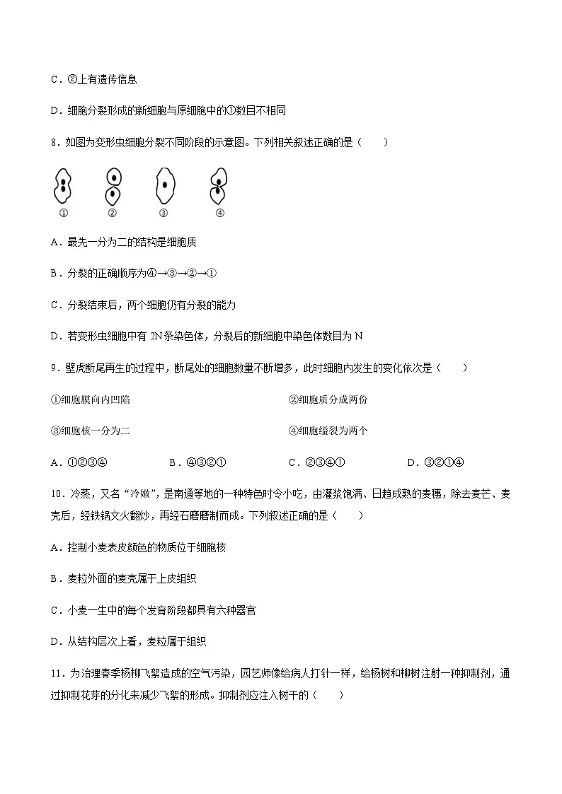 【试卷】天津市河北区2025-2026学年七年级上学期生物期末试题.第3页