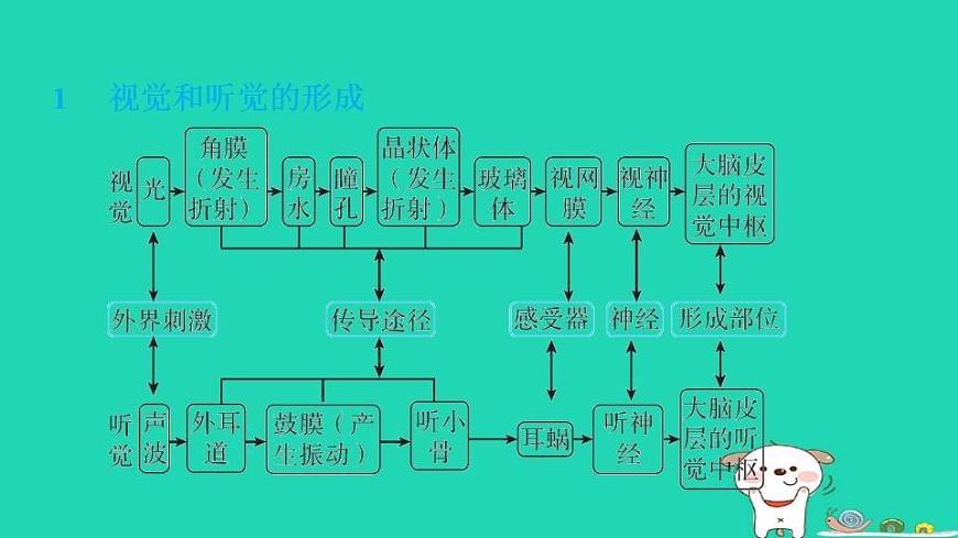 17844145第3页