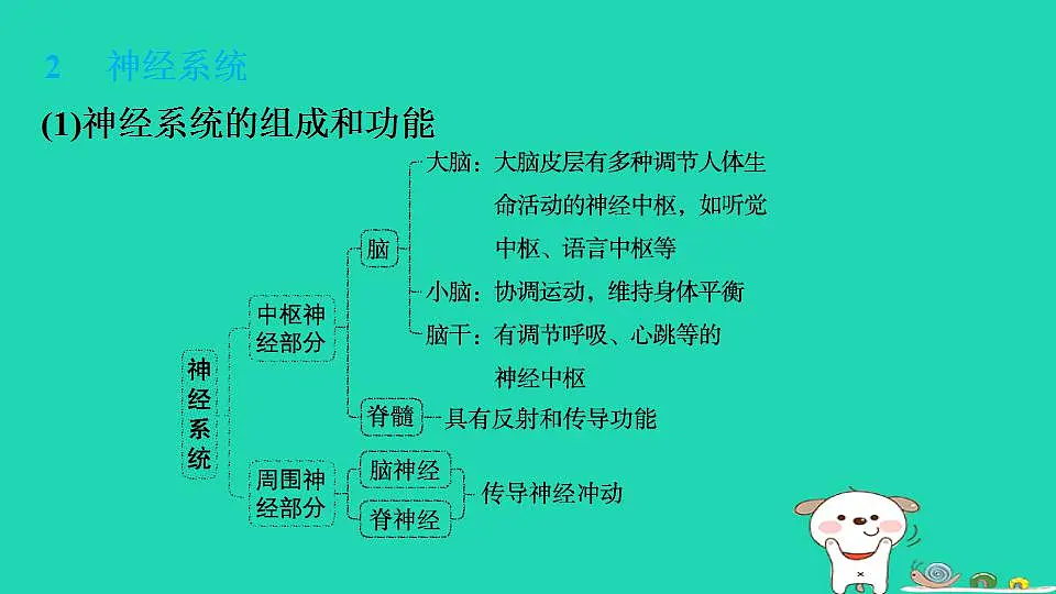 17844145第4页