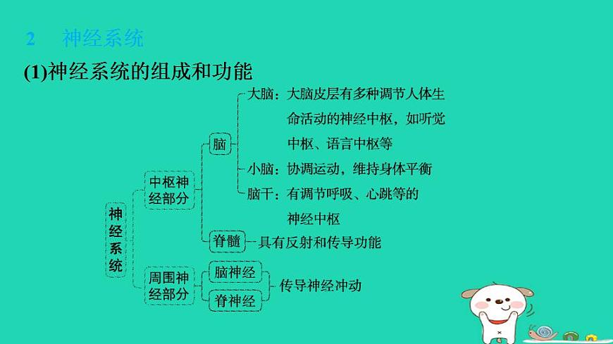 17844145第4页