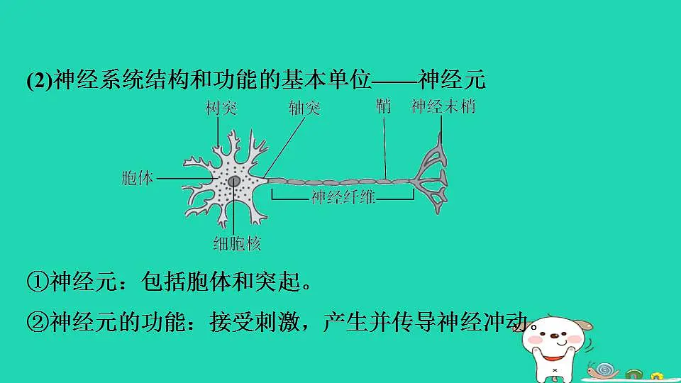 17844145第5页