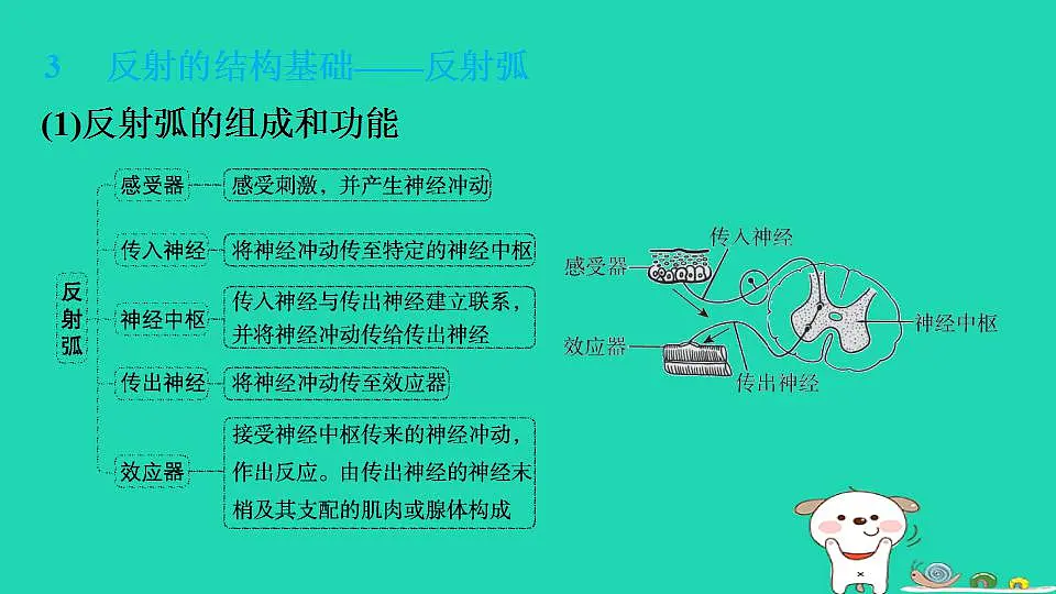 17844145第6页