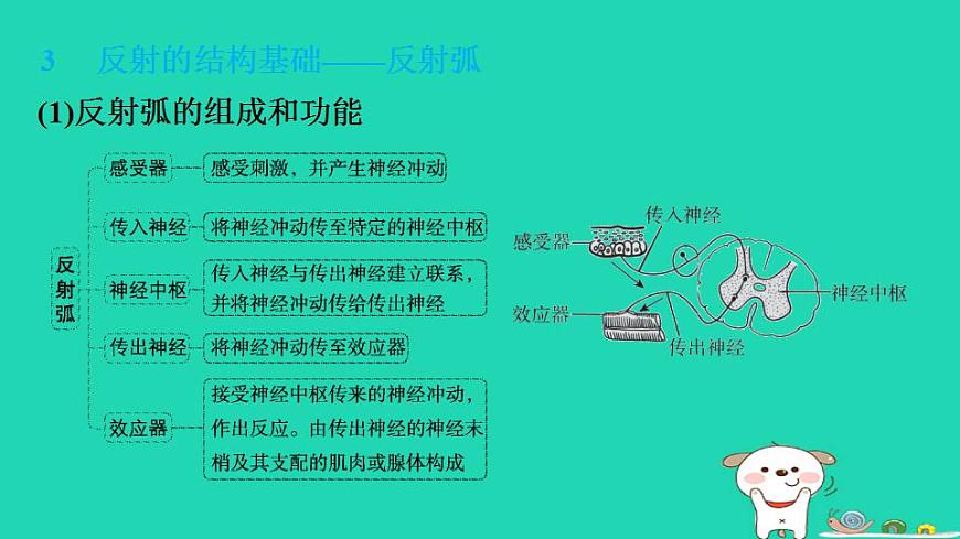 17844145第6页