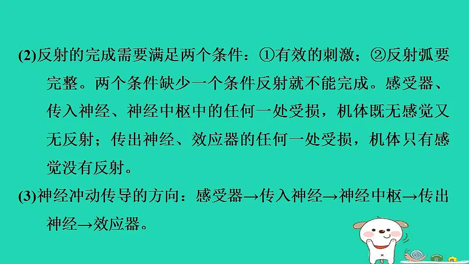 17844145第7页