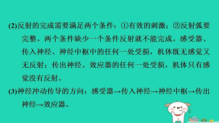 17844145第7页